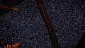 Thumbnail for version as of 11:47, 11 December 2016