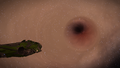 Thumbnail for version as of 15:00, 1 January 2017
